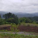 스테이 지천 이미지