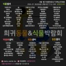 레오마켓