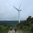 한양목장 | 강릉 울트라바우길 5구간 (2025.9.25일)