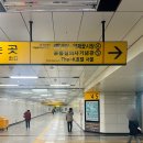 남부순환로(동측) | 서울 벚꽃 명소 양재천은 어때? 꽃시장 카페거리 좋아