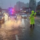 학장배수장 국민일보