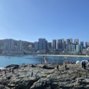 성화반점 이미지