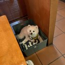 오복당