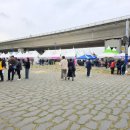 낙동강변23 | [부산 강서 낙동강변 30리 벚꽃길 축제] 랑이뽀기 애견동반 후기 주차정보