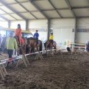 신의초등학교 이미지