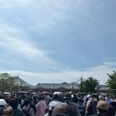 31140-5-40-8 | [도쿄 디즈니랜드] 5월 평일 오픈런 후기: 날씨 옷차림 &amp; DPA 40주년패스 사용법 순서 꿀팁