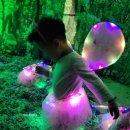 반디숲어린이집 이미지