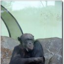 오-월드 이미지