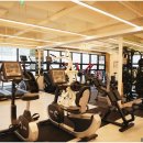 바디미라클 이미지