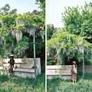 오창초 가좌분교 이미지