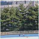 신나는인라인 이미지