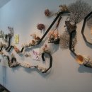 세계조가비박물관 이미지