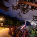 바보형제쭈꾸미(일산점) 네이버블로그