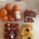 31140-8-35-26 | 35주차 기록_ 동탄 제일병원 맥수술 실제거 후기!(막달검사) / 도치삼촌 방문&amp;임산부염색