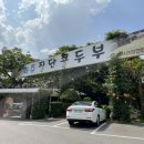 파주장단콩두부 이미지