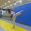 성덕태권도 | 성덕초태권도 장덕동태권도 성덕태권도 "승급심사 현장 스케치 - 기본기부터 상황별 품새까지, 성장의...