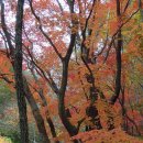 홍계마을 이미지