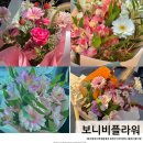 보니비플라워 이미지