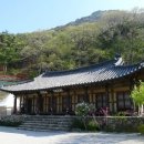 도리사로 이미지