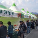 얼음골사과