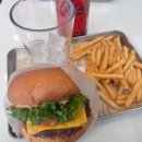 리버타운버거 | [합정] 리버타운버거 리버스버거 세트 후기｜정석 조합의 제대로 된 수제버거