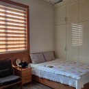 대농장 | 서귀포가성비숙소 '설문대농장 펜션' 취사 가능한 레드향룸 후기