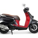 욜로모터스 이미지