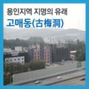 만평(고매2통) | [용인지역 지명유래] 고매동(古梅洞)