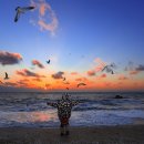 바다예찬 이미지