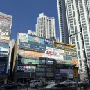 연세영훈치과교정과치과의원 이미지