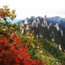 단풍슈퍼