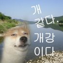 광송 | #24-5 고달픈 개강 현생 라이프