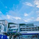 블루망고 이미지