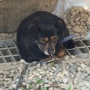 여민 | [한정식/아산-영인산] 한정식집 여민뜰 후기