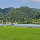 주미 농장 이미지