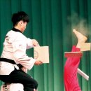 우리나라 태권도 이미지