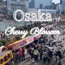 수양-0012 | 2025년 오사카 조폐국 벚꽃 축제 후기 예약,벚꽃명소,겹벚꽃