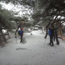 진천주유소 이미지