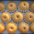 성환농장 이미지