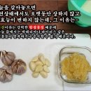 ★★ 중국 우한 코로나바이러스와 마늘의 항생효과 이미지