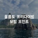 쌍정초 | 울릉도 프리다이빙 보팅 후기(코끼리바위, 쌍정초 등 보트로 갈만한 포인트)