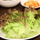 하우돈곱창 이미지