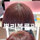 오송애드