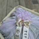 포모나과일공간 이미지