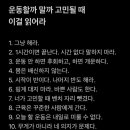 존프랭클 위즈덤 주짓수 이미지