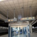 사직의명물 | [부산] 사직야구장도 가고 바다도 보는, 혼자 직관 가는 이들을 위한 1박 2일 뚜벅이 부산 여행 코스 요약