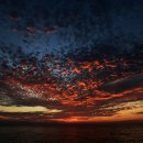 우림렌트카 이미지