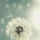 교리공인중개사사무소 이미지