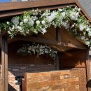 융건로 | 수원예식장 웨딩홀 그 이상의 하루, 에뜨왈드포레 하우스웨딩 다녀온 후기!!