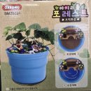 마이포레스트 | 옥스포드 레고 : 브릭화분_마이리틀 포레스트 후기